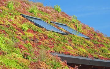 East Worlington living roof systems